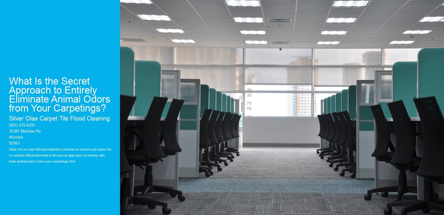 What Is the Secret Approach to Entirely Eliminate Animal Odors from Your Carpetings?