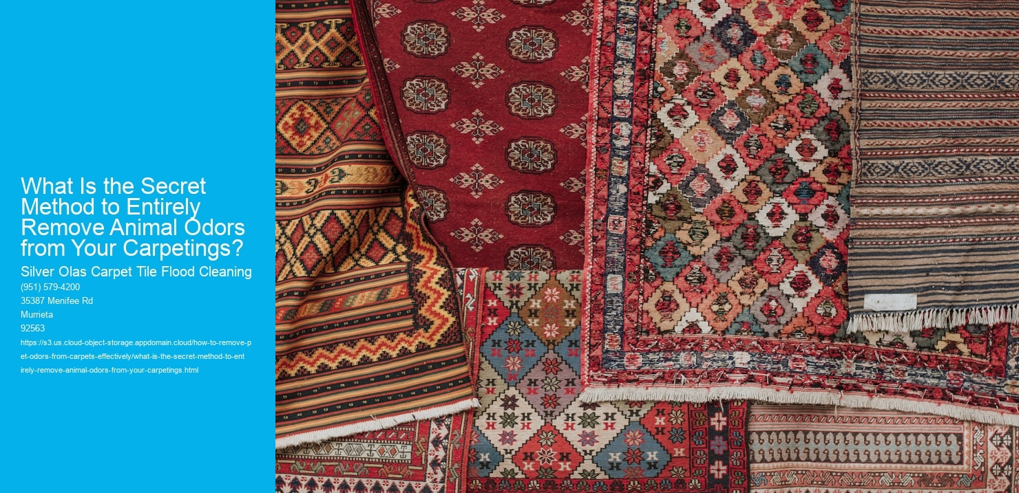 What Is the Secret Method to Entirely Remove Animal Odors from Your Carpetings?