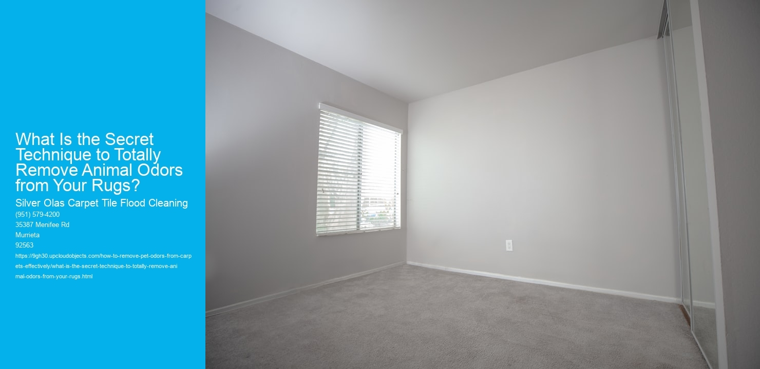 What Is the Secret Technique to Totally Remove Animal Odors from Your Rugs?