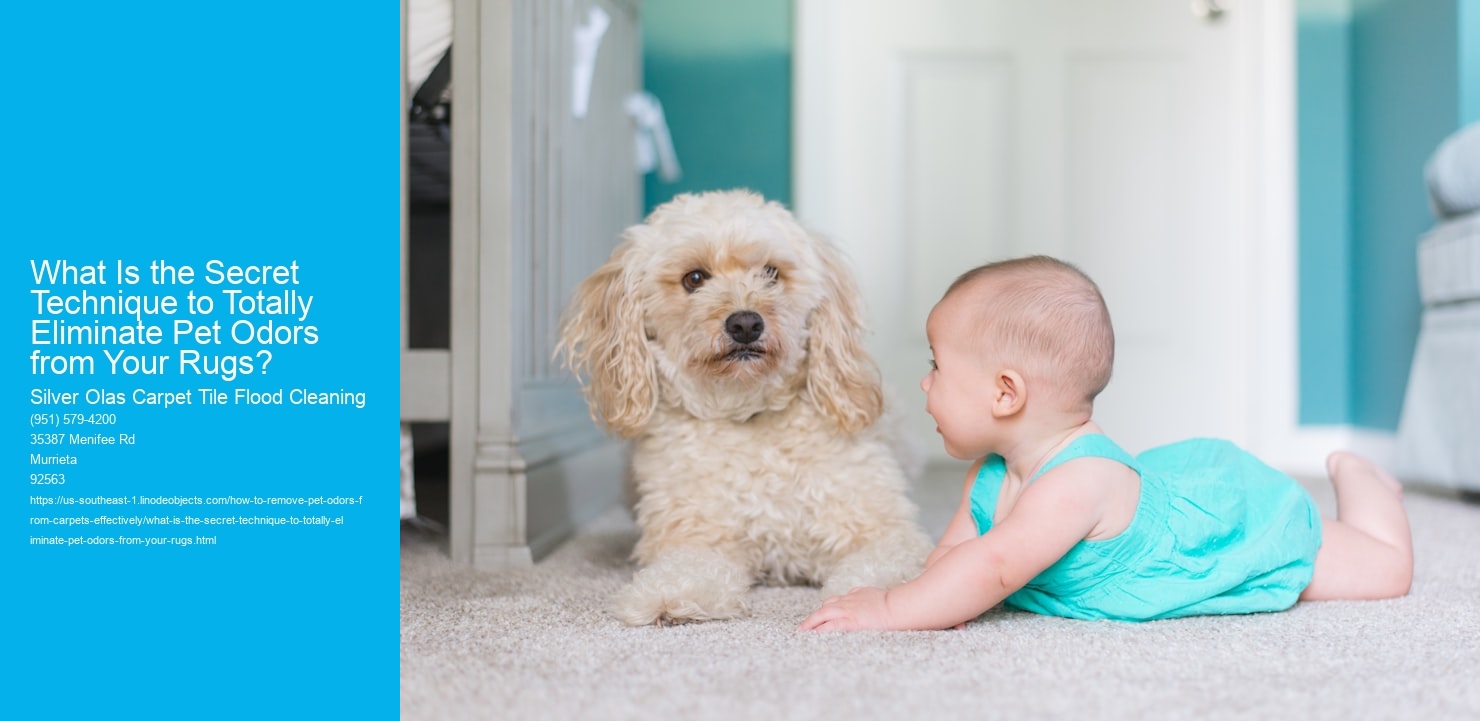 What Is the Secret Technique to Totally Eliminate Pet Odors from Your Rugs?