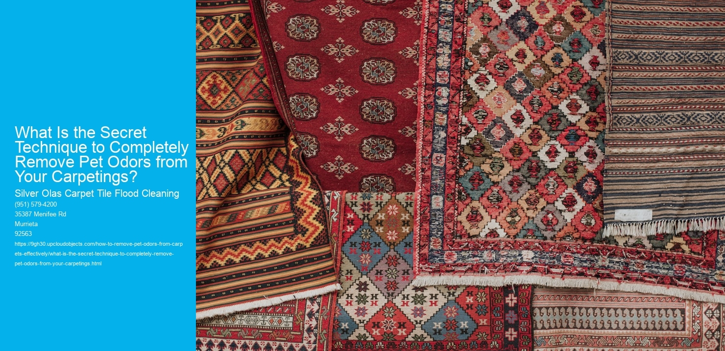 What Is the Secret Technique to Completely Remove Pet Odors from Your Carpetings?